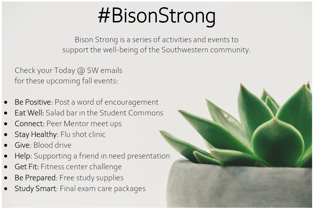Image - Bison Strong Flyer