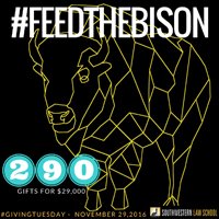 Feed the Bison