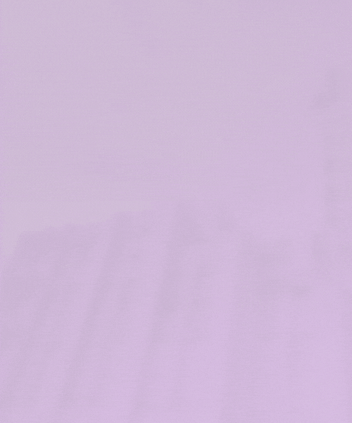 The Southwestern Store merch GIF