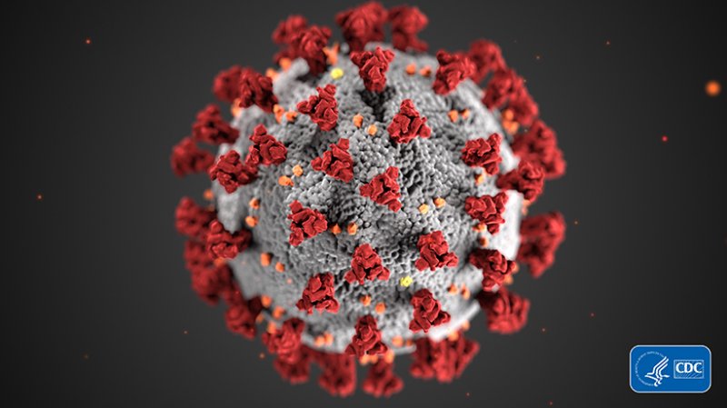 Image - CDC CoronaVirus