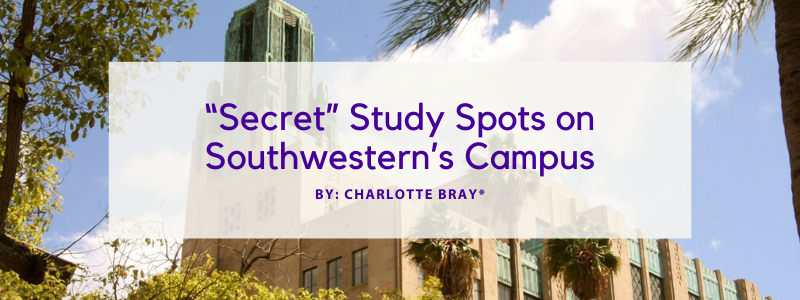 Image - Dean's Fellow Digest Issue #35 - “Secret” Study Spots on Southwestern’s Campus