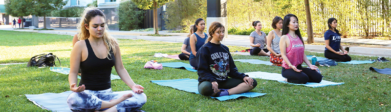 Image - Yoga on the Lawn
