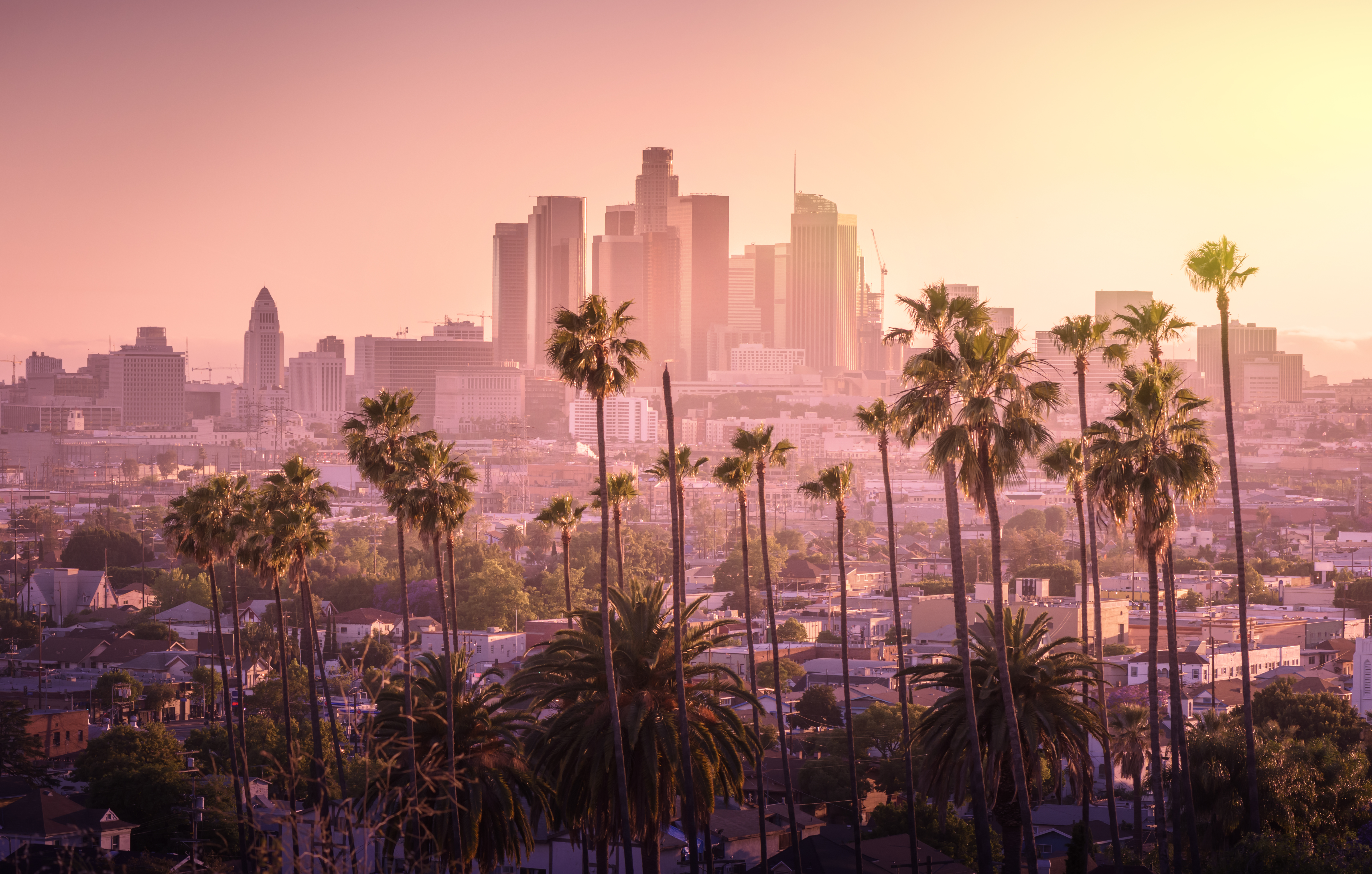 Los Angeles city skyline bathed in pink light at dusk with palm trees in the foreground