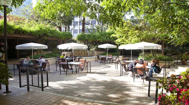 Campus-Commons The Campus Commons
